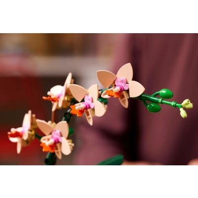 7. LEGO Botanical Collection 10343 - Little Orchid