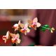7. LEGO Botanical Collection 10343 - Little Orchid