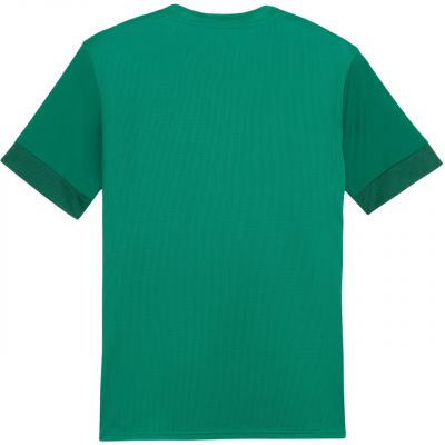 2. Puma teamGoal Matchday Jersey M 705747 05