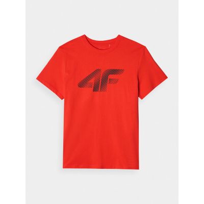 5. Men's T-shirt 4F 4FWMM00TTSHM2257-62S