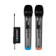 2. Blaupunkt UHF WM60UDB Dual Wireless Microphone