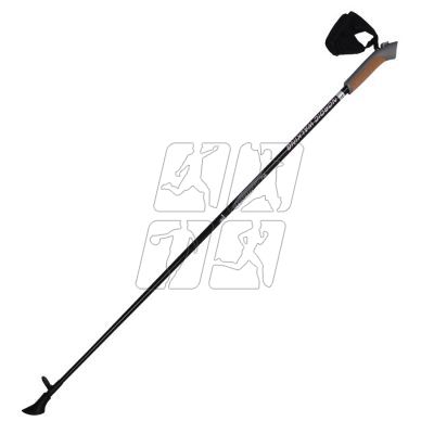 4. Nordic Walking Titanium Poles SMF116-D16