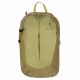 2. Deuter AC LITE 15 SL Sprout-Linden Hiking Backpack