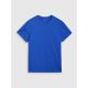 5. Men's regular printed T-shirt 4F 4FWSS25TTSHM2239-36S