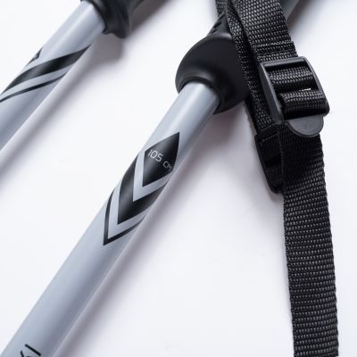 5. ALPINE SKI II poles