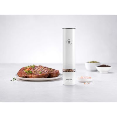 4. ZWILLING Enfinigy 53103-700-0 electric spice grinder white