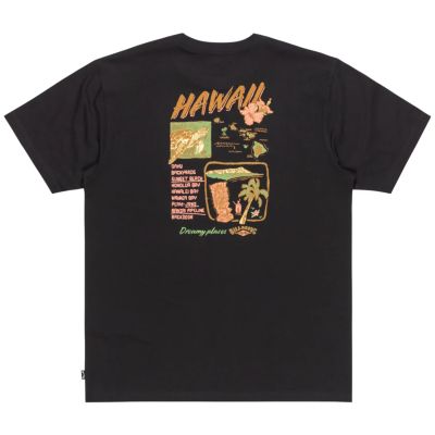 2. Billabong Dreamy Place Tee EBYZT00294-BLK Black M