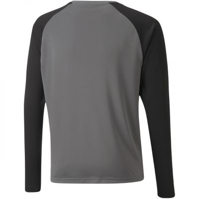 2. Puma teamPacer GK LS Jersey Jr 704939 43