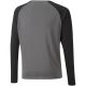 2. Puma teamPacer GK LS Jersey Jr 704939 43 goalkeeper sweatshirt