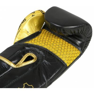 8. Boxing gloves Masters Rbt-Professional 01101-10