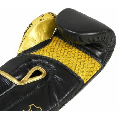 8. Masters Rbt-Professional Boxing Gloves 01101-10