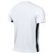 2. Nike Dri-FIT Challenge Jersey V FD7412-100