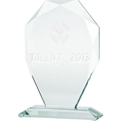 3. 3D engraved glass trophy with case