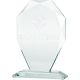 3. 3D engraved glass trophy with case