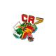 15. LEGO Editions 43012 - Cristiano Ronaldo - Football Moments