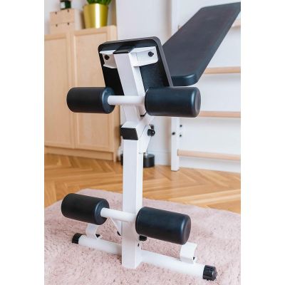 22. GYMNASTIC LADDER WITH A HAND BAR AND A BENCH FOR EXERCISES BENCHK 723W