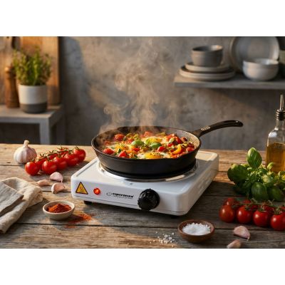 9. Esperanza Pinatubo EKH002W cooker (1 cooking zone)