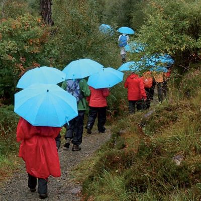 6. Euroschirm Swing Liteflex umbrella - ice blue