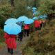 6. Euroschirm Swing Liteflex umbrella - ice blue