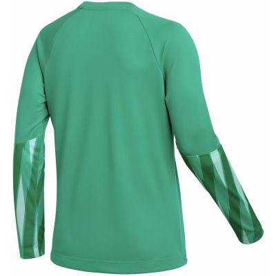 2. Nike Dri-Fit Park V Stadium Women's Jersey Green HV8316 324