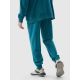 2. Pants 4F M 4FWSS24TTROM603 46S