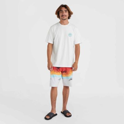6. O'Neill JS Senic T-Shirt M 92800613642