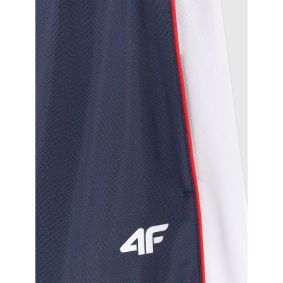 6. Men's jogger sweatpants 4F 4FRAW25TTROM1611-31S