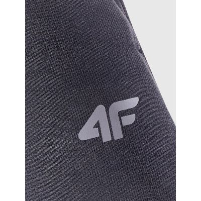 6. Women's sweatpants 4F 4FRSS26TSHOF1005-20S