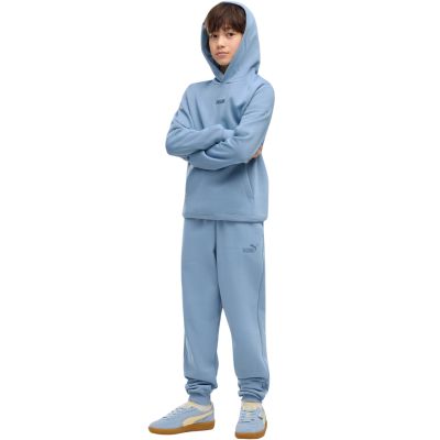 5. Puma ESS Small No.1 Logo Centered Hoodie for Kids blue 692976 26