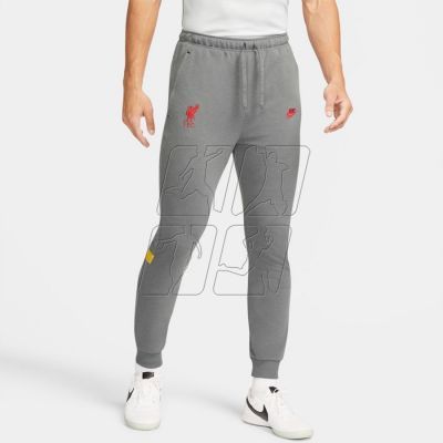 Nike Liverpool FC M DB7876 088 pants