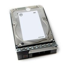 DELL 161-BCJX Hard Drive 12TB 7200RPM 3.5" NL-SAS