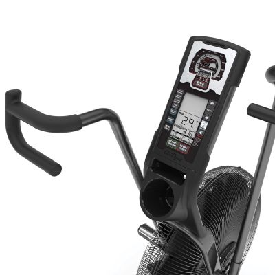 19. Schwinn Airdyne AD8 100475 Air Bike