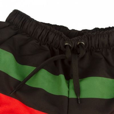 3. GKS Tychy shorts