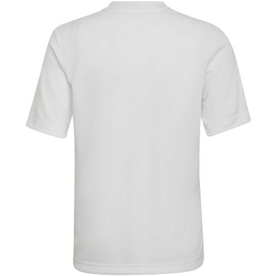 13. adidas Entrada 22 Graphic Jersey Jr HF0120