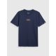 8. Men's regular printed T-shirt 4F 4FRAW25TTSHM3377-31S