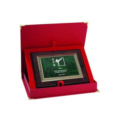 7. Plastic diploma with engraving on a gold plate + CASE