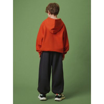 2. Boys' jogger sweatpants 4F 4FJRSS26TTROM1896-22S