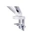 21. Digitus Dual Monitor Mount, 2x 35", 2x 10 kg
