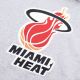 2. Mitchell & Ness Pinnacle Heavyweight Fleece NBA Miami Heat Hoodie