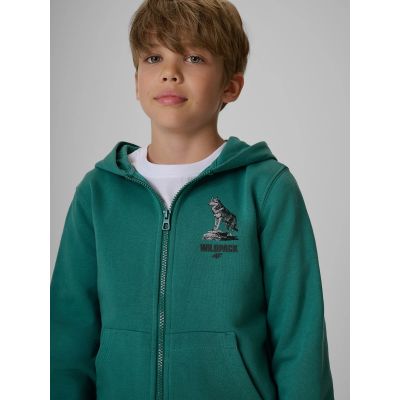 3. Boy's regular hooded sweatshirt 4F 4FJKAW26TSWSM3153-46S