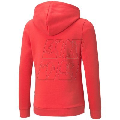 4. Puma ESS Logo Hoodie FL Jr 587031 35