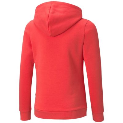4. Puma ESS Logo Hoodie FL Jr 587031 35 sweatshirt