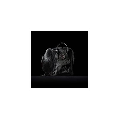 3. Fjällräven Kanken No.2 Backpack Hiking Backpack Black Cotton, Leather, Recycled Polyester