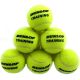 Dunlop Training Tennis Balls Bag 60 pcs 605034