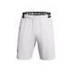 UNDER ARMOR UA Vanish Woven Shorts (1370382-014)