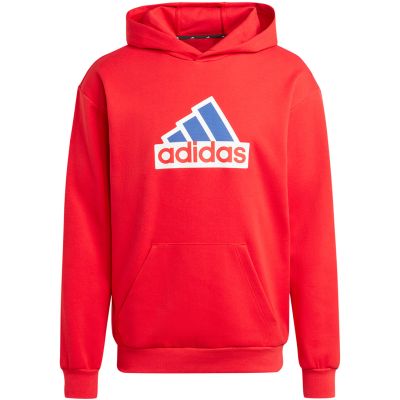 11. Adidas FI Bos Hd Oly M sweatshirt IS8338