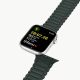 8. Dux Ducis Strap (Armor Version) strap Apple Watch Ultra, SE, 9, 8, 7, 6, 5, 4, 3, 2, 1 (49, 45, 44, 42 mm) silicone magnetic strap bracelet green