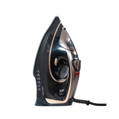 2. ORO-STEAM OROMED steam generator iron