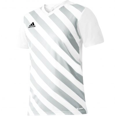 adidas Entrada 22 Graphic Jersey Jr HF0120