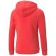 6. Puma ESS Logo Hoodie FL Jr 587031 35 sweatshirt